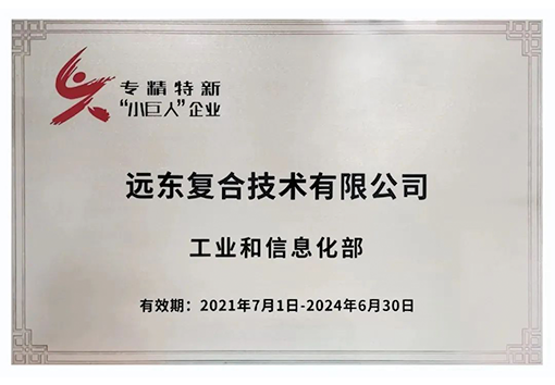 远东复合技术专精特新小巨人企业