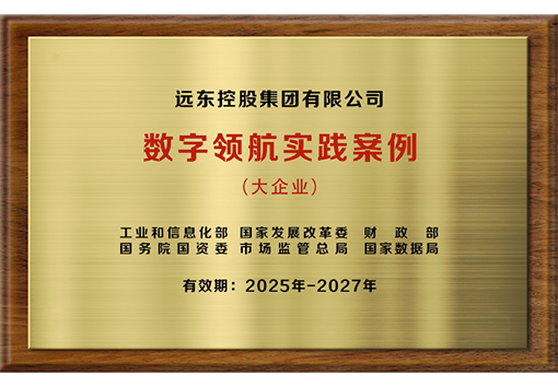 大企业数字领航实践案例